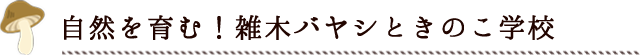 ワークショップ企画 自然を育む 雑木バヤシときのこ学校